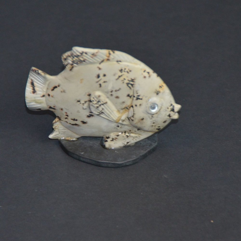 Stone Fish